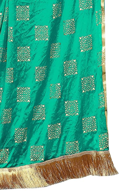 Women's Printed Chiffon Dupatta